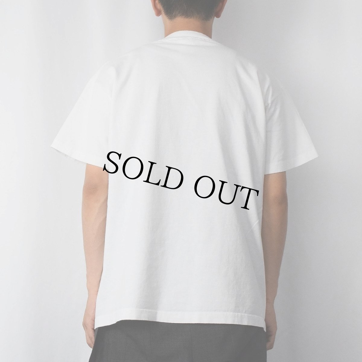 画像3: 90's Human-i-Tees USA製 "Losing Ground" オオカミプリントTシャツ L (3)