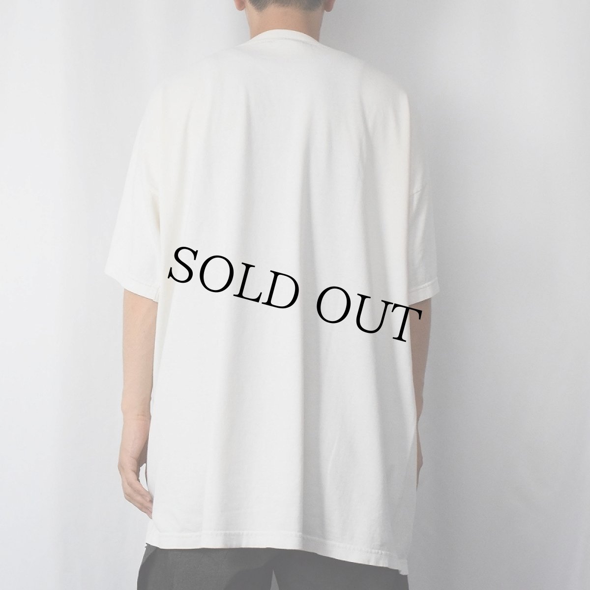 画像3: 90's USA製 象 大判プリントTシャツ ONESIZE (3)