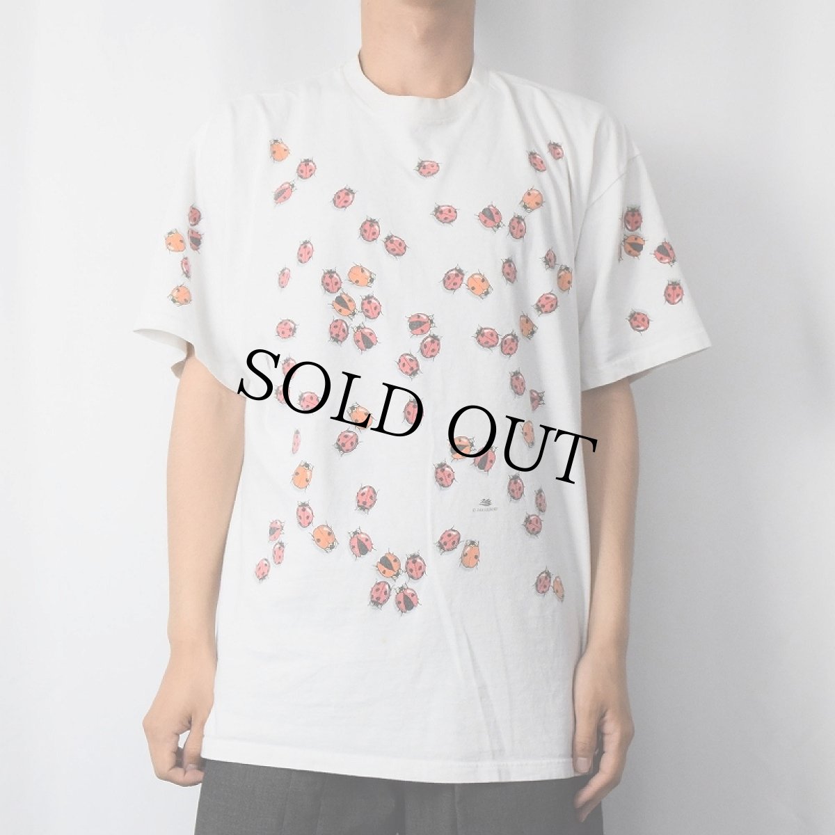 画像2: 90's DAN GILBERT USA製 "Ladybug" アートプリントTシャツ XL (2)