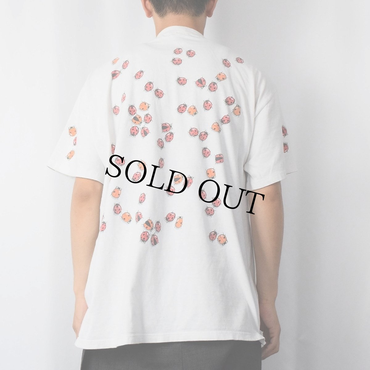 画像3: 90's DAN GILBERT USA製 "Ladybug" アートプリントTシャツ XL (3)