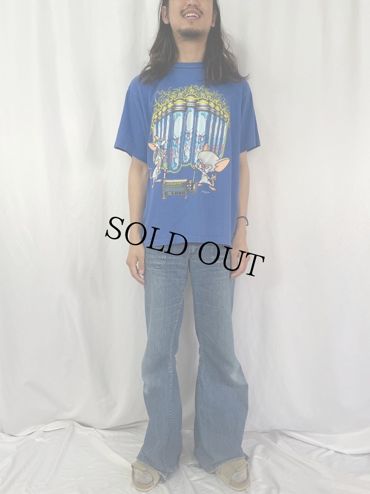 画像2: 90's WARNER BROS USA製 "Pinky and the Brain" キャラクタープリントTシャツ L (2)