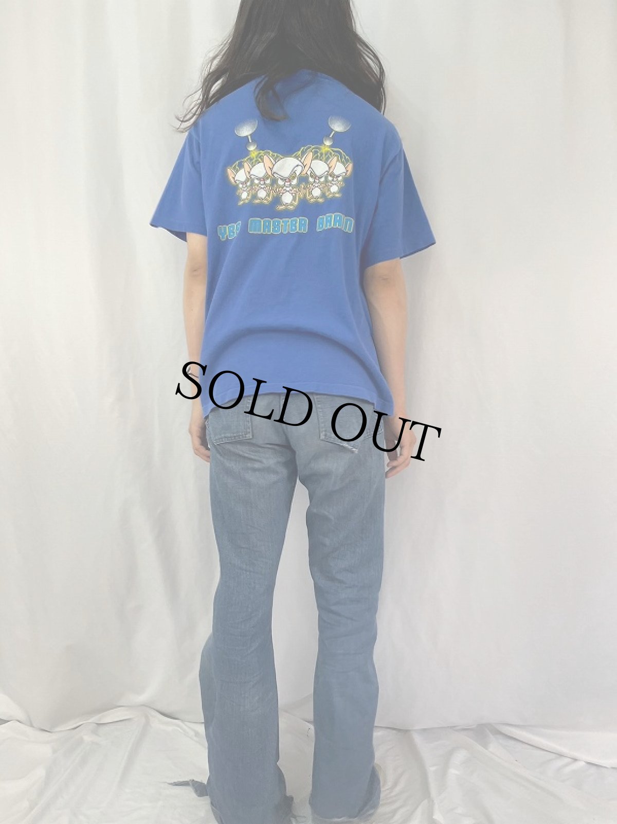 画像4: 90's WARNER BROS USA製 "Pinky and the Brain" キャラクタープリントTシャツ L (4)