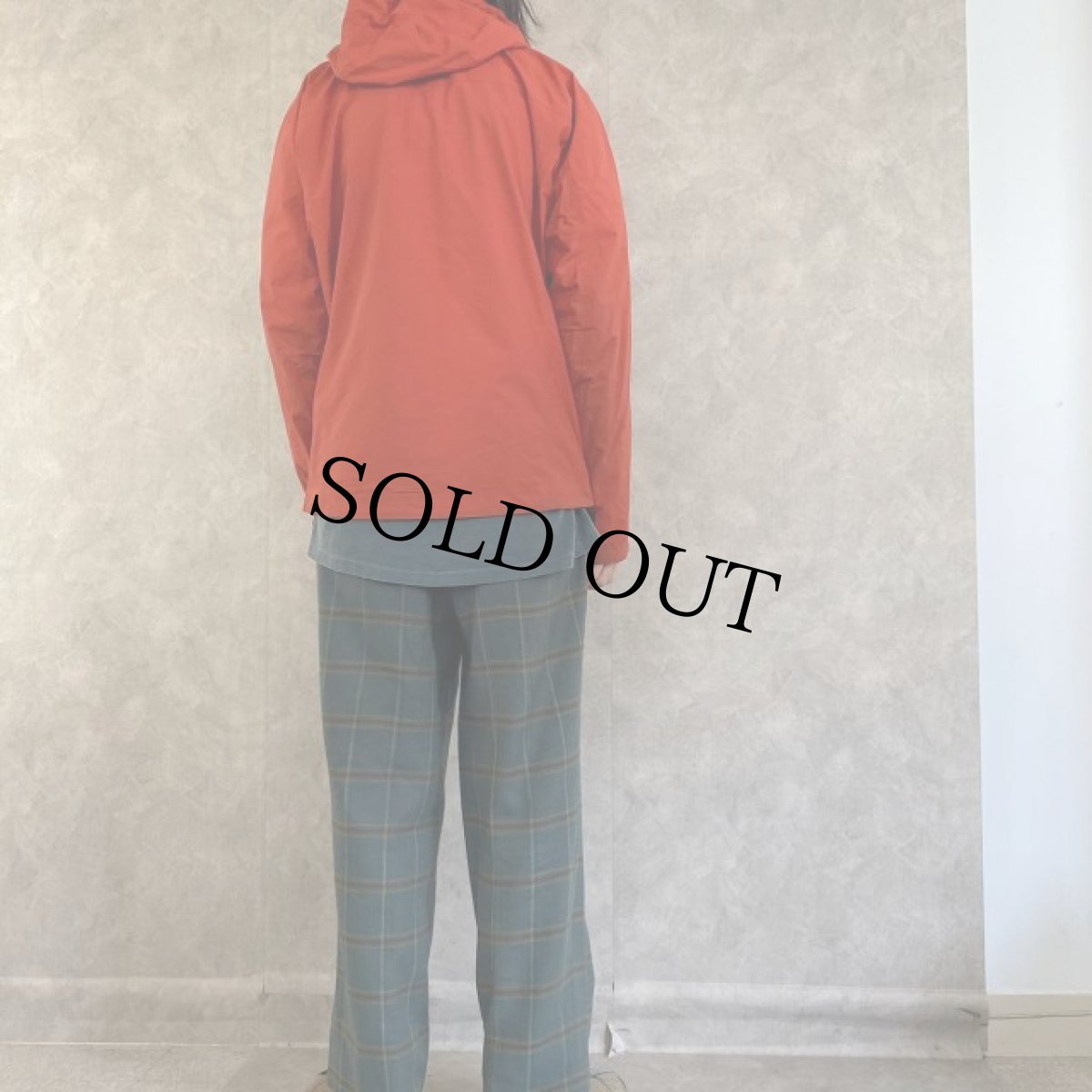 画像4: ARC'TERYX GORE-TEX マウンテンパーカー M (4)