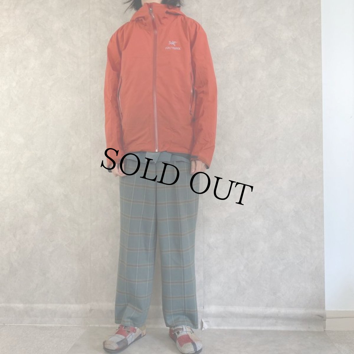 画像2: ARC'TERYX GORE-TEX マウンテンパーカー M (2)