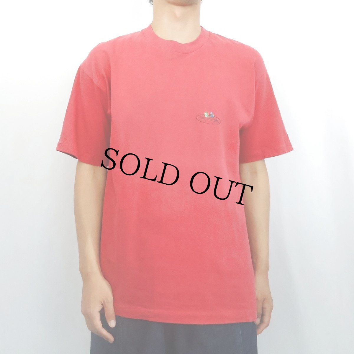 画像2: 90's FRUIT OF THE LOOM IRELAND製 ロゴプリントTシャツ M (2)