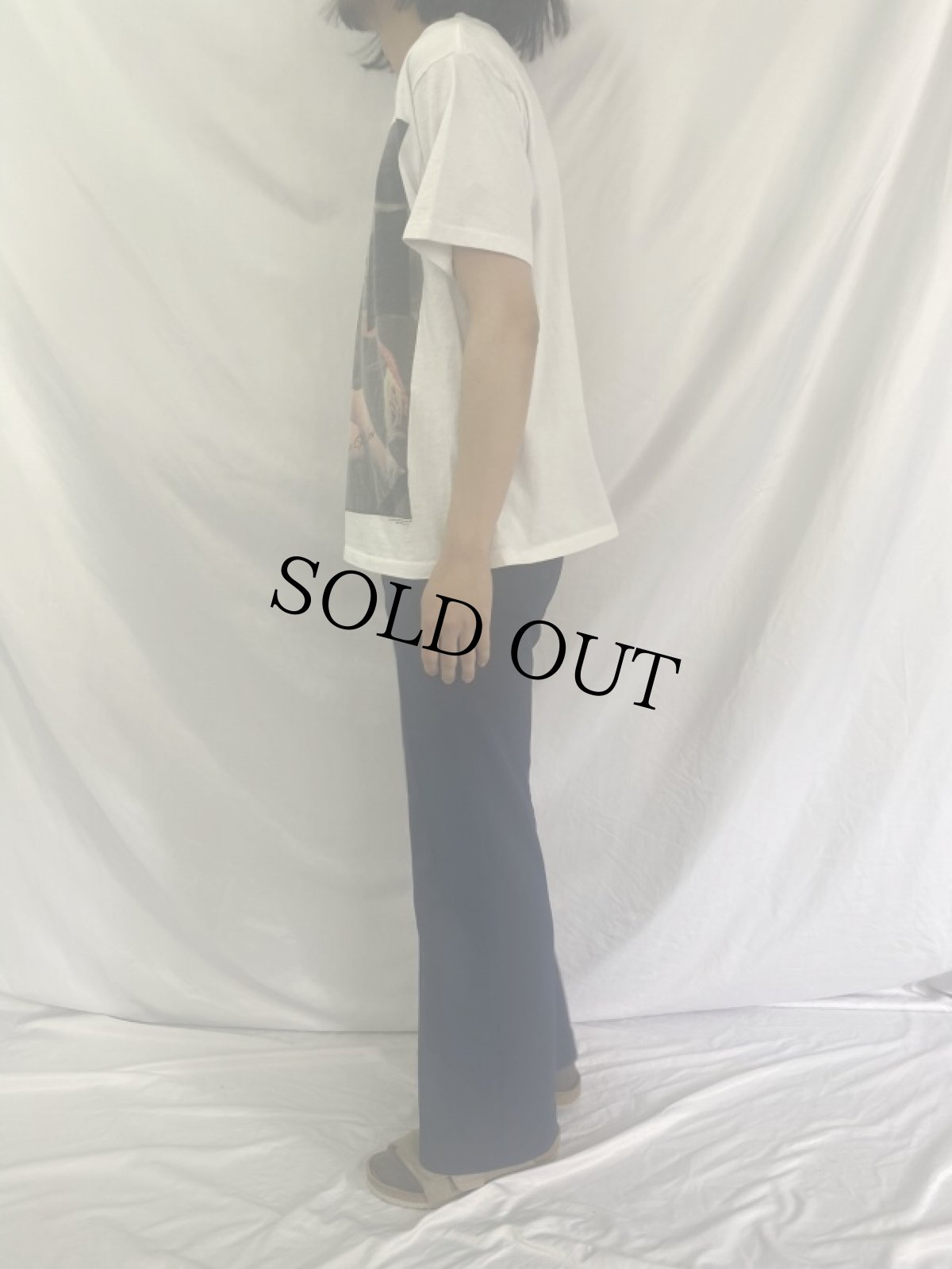 画像3: 90's ミス・ピギー "PIGTORIA'S SECRET" パロディTシャツ L (3)