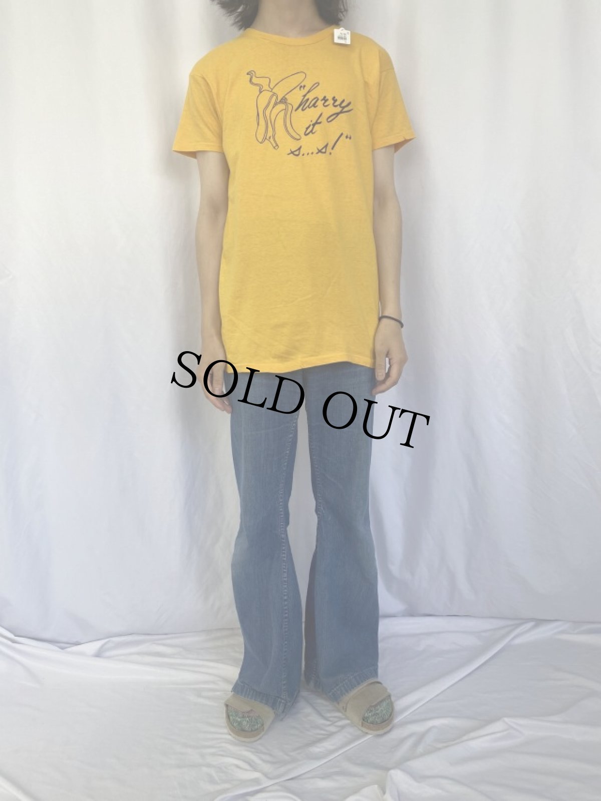 画像3: 【SALE】 70's HARRY CHAPIN USA製 "harry it s...s!" フォークロックシンガー プリントTシャツ XL (3)