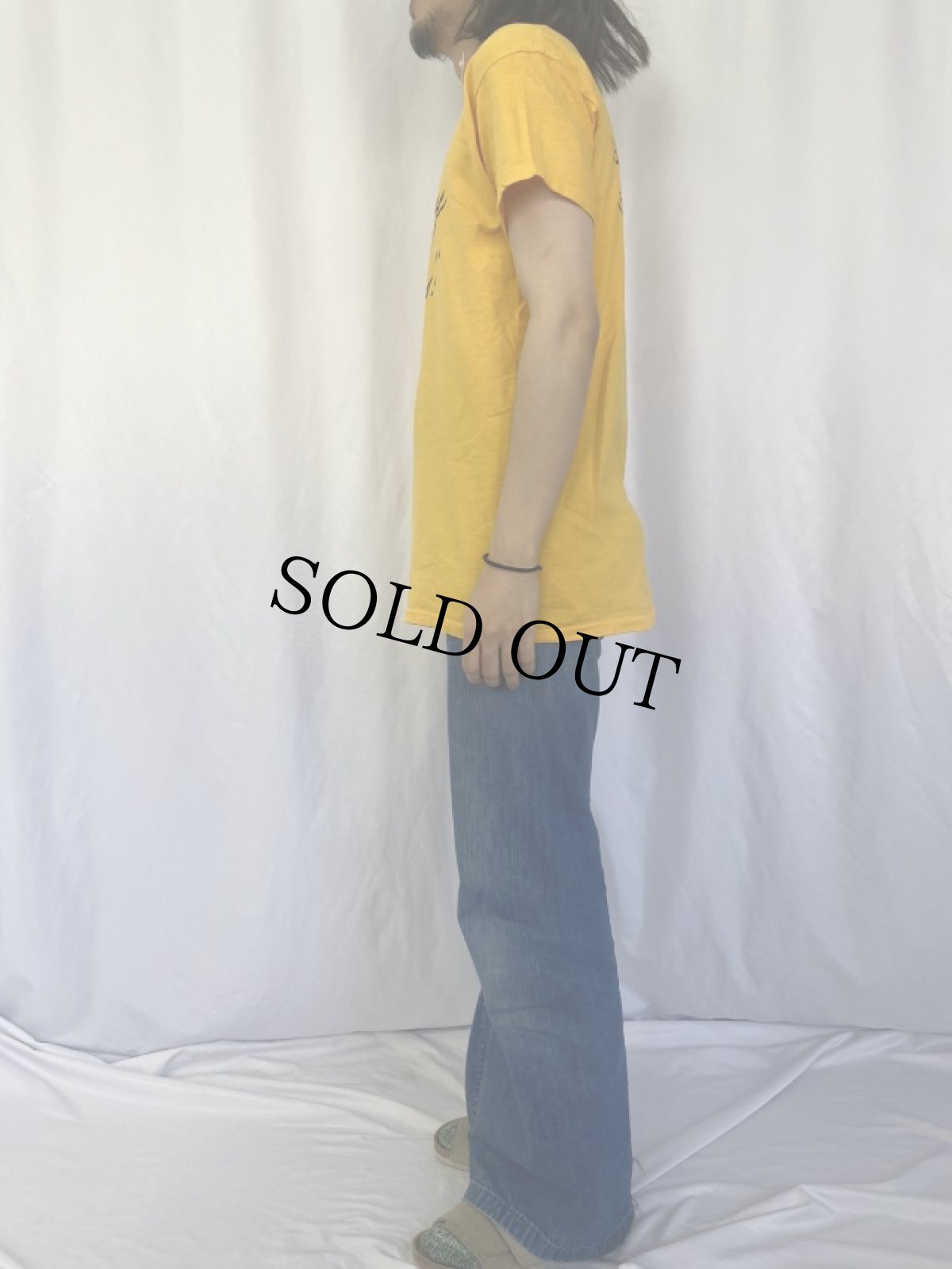 画像4: 【SALE】 70's HARRY CHAPIN USA製 "harry it s...s!" フォークロックシンガー プリントTシャツ XL (4)