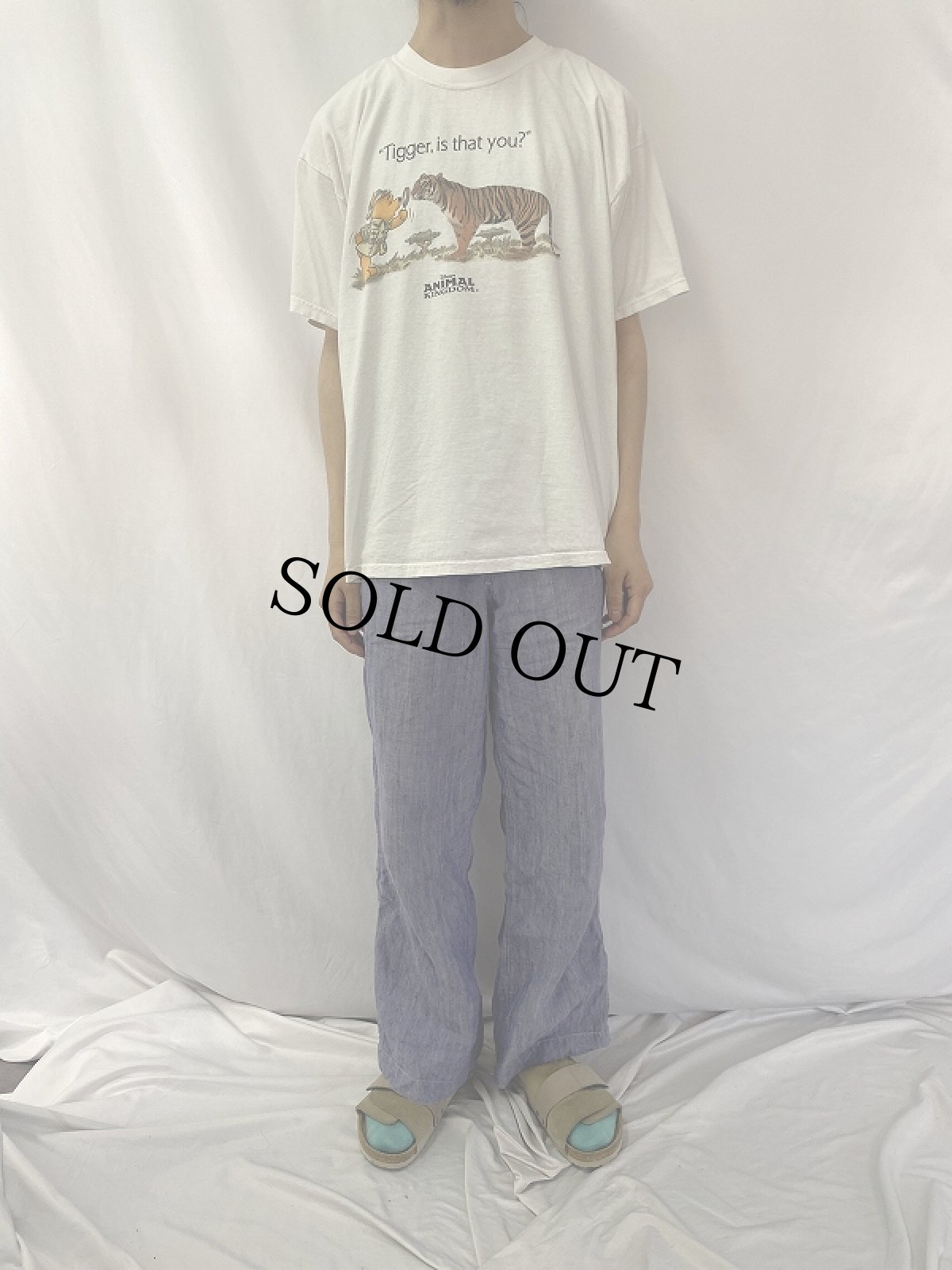 画像2: Disney "ANIMAL KINGDOM" キャラクタープリントTシャツ L (2)