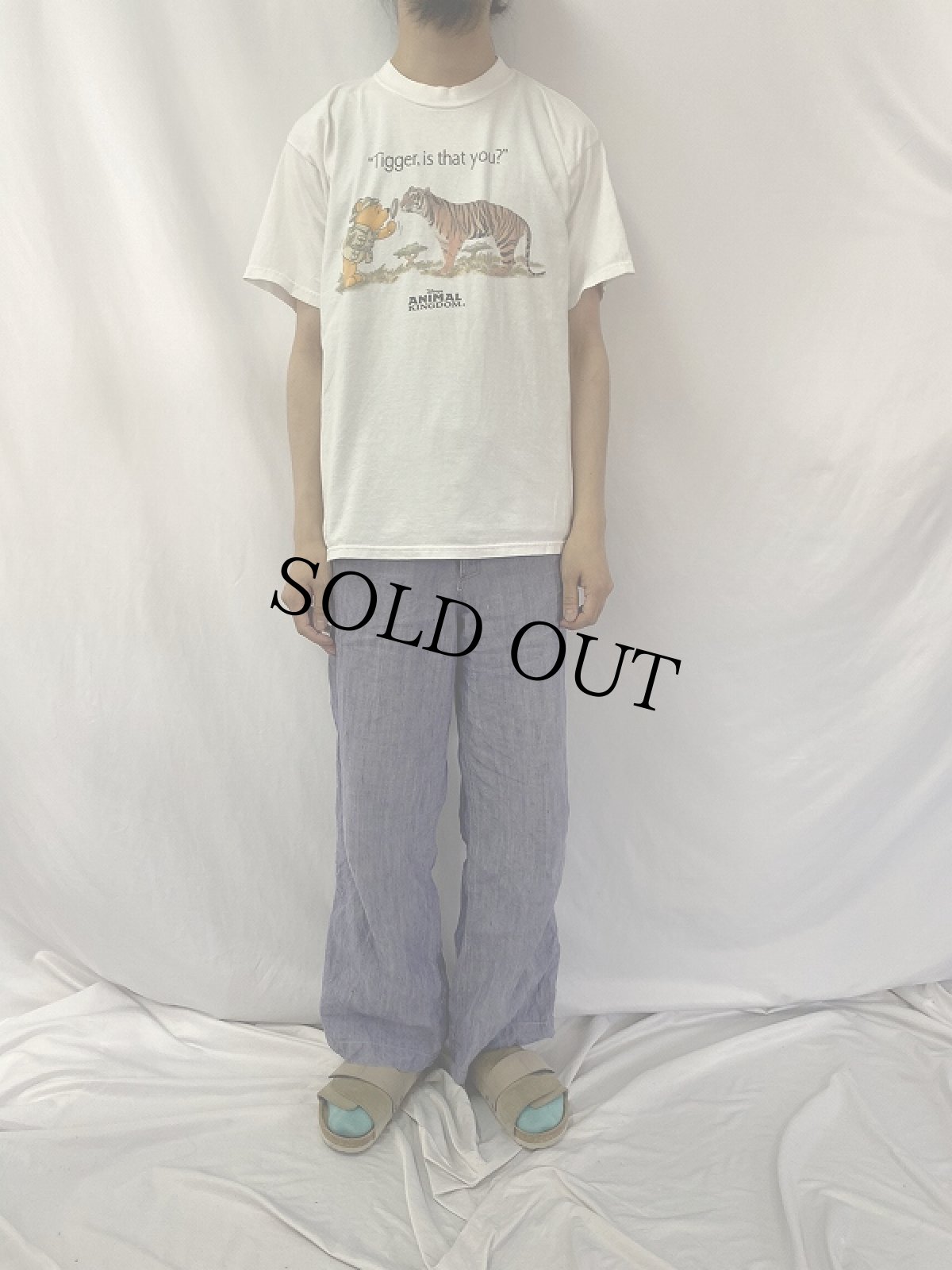 画像2: Disney "ANIMAL KINGDOM" キャラクタープリントTシャツ M (2)