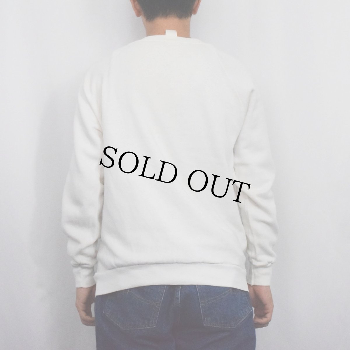 画像3: 80's "PRINCETON" プリントラグランスウェット (3)