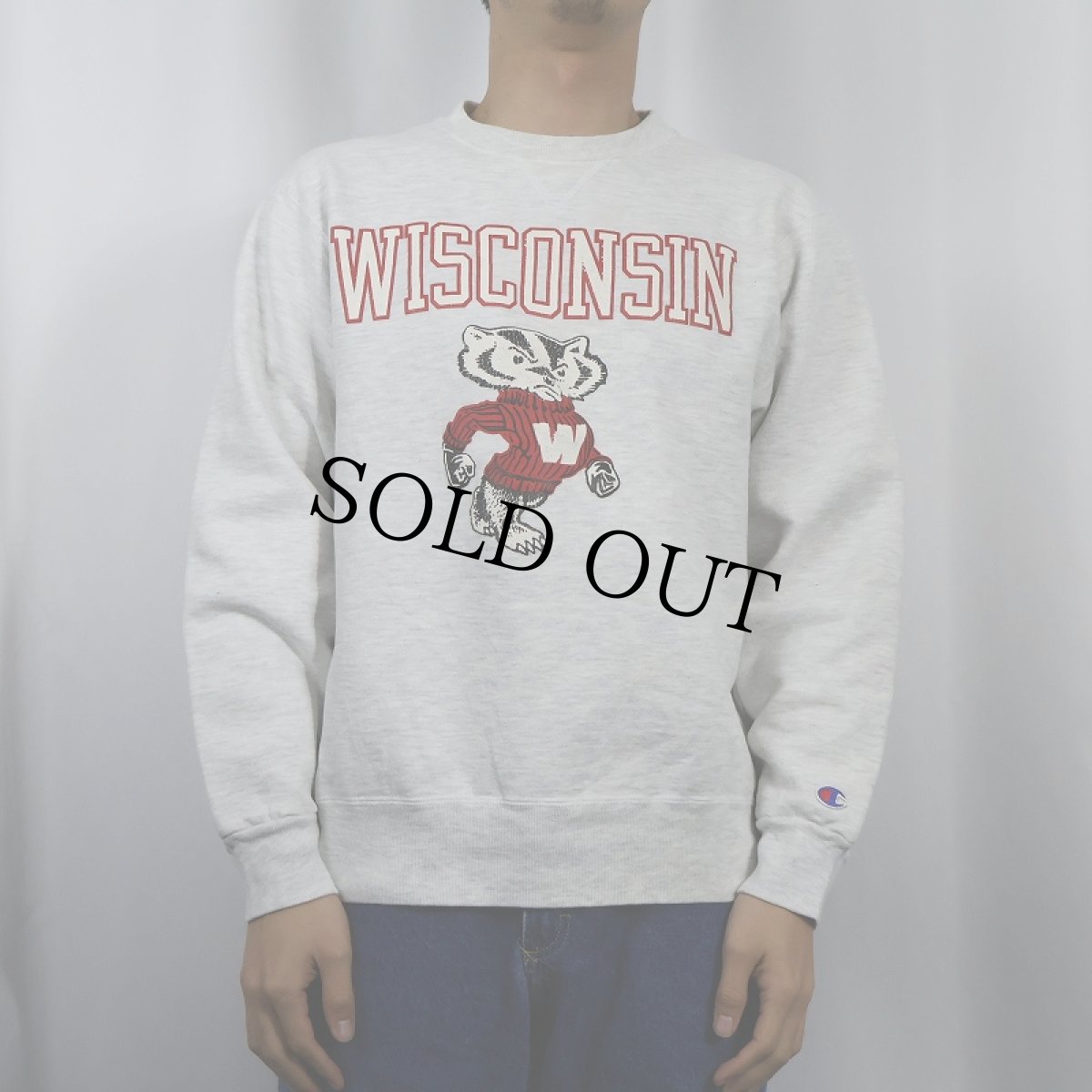画像2: 90's Champion USA製 "WISCONSIN" 前V プリントスウェット M (2)