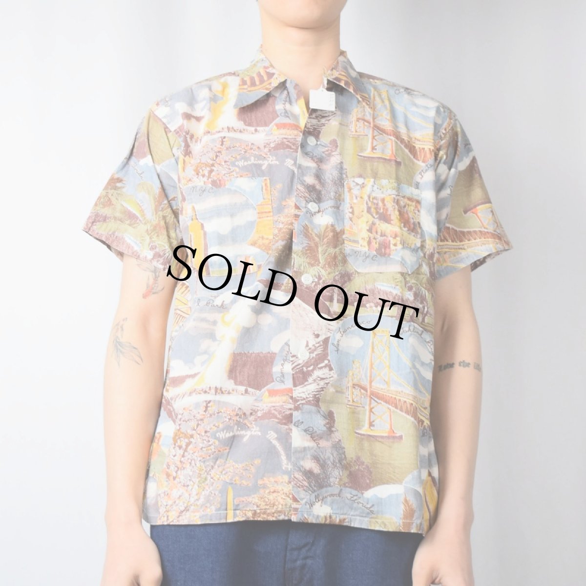 画像2: 50's DUNBROOKE ピクチャーパターン コットンハワイアンシャツ M (2)