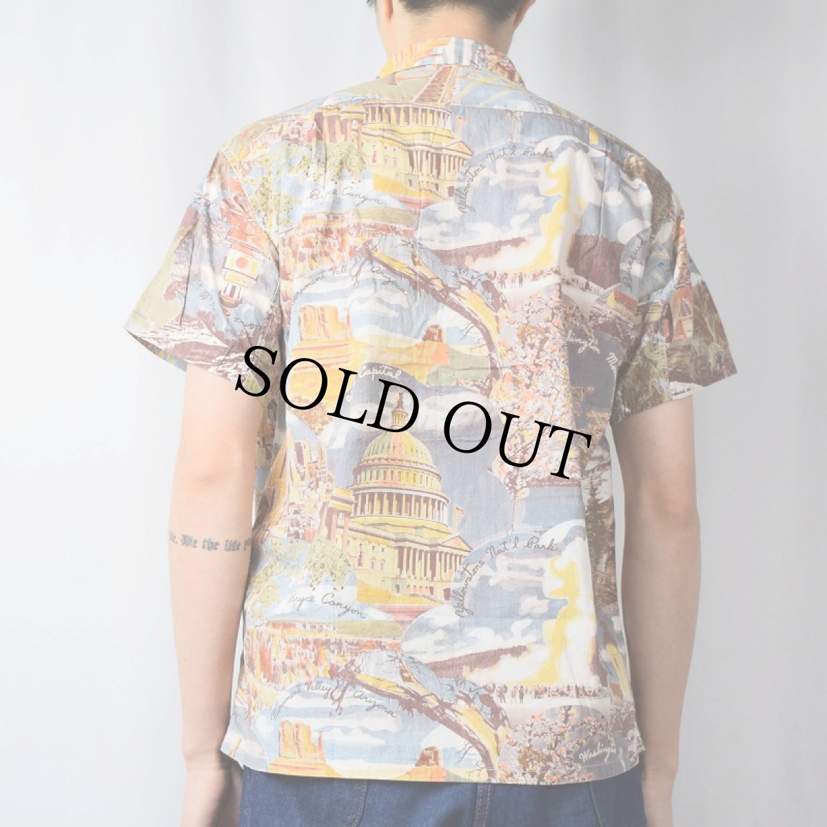 画像3: 50's DUNBROOKE ピクチャーパターン コットンハワイアンシャツ M (3)