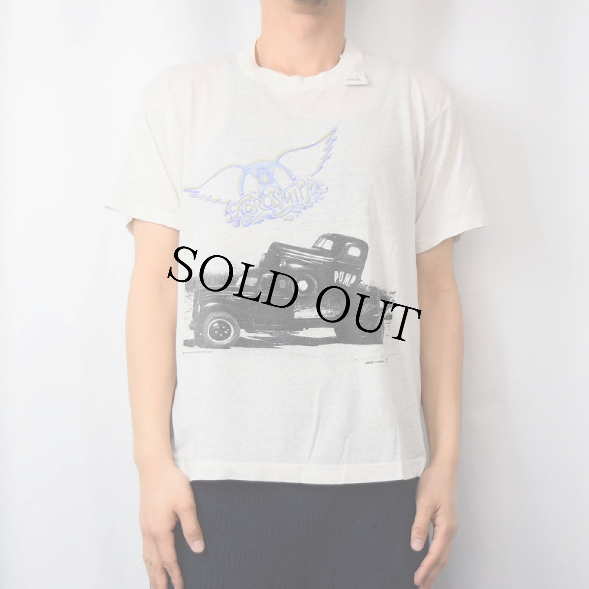 画像3: 80's AEROSMITH "PUMP" ロックバンドツアーTシャツ (3)