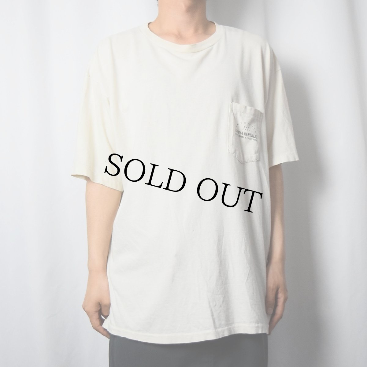 画像2: 90's BANANA REPUBLIC USA製 トカゲプリントTシャツ XL (2)