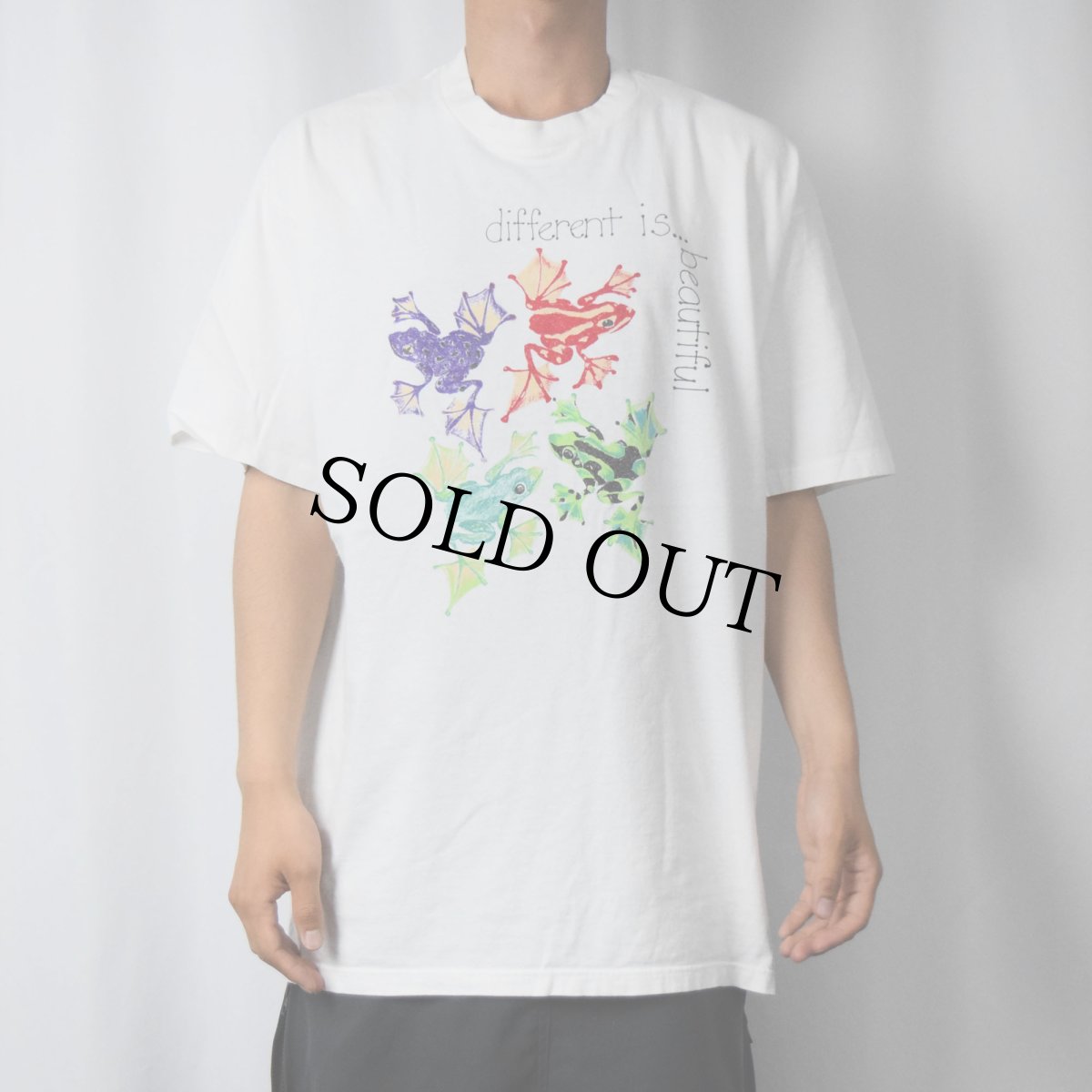 画像3: 90's DFE USA製 "different is... beautiful" カエルイラストプリントTシャツ XL (3)