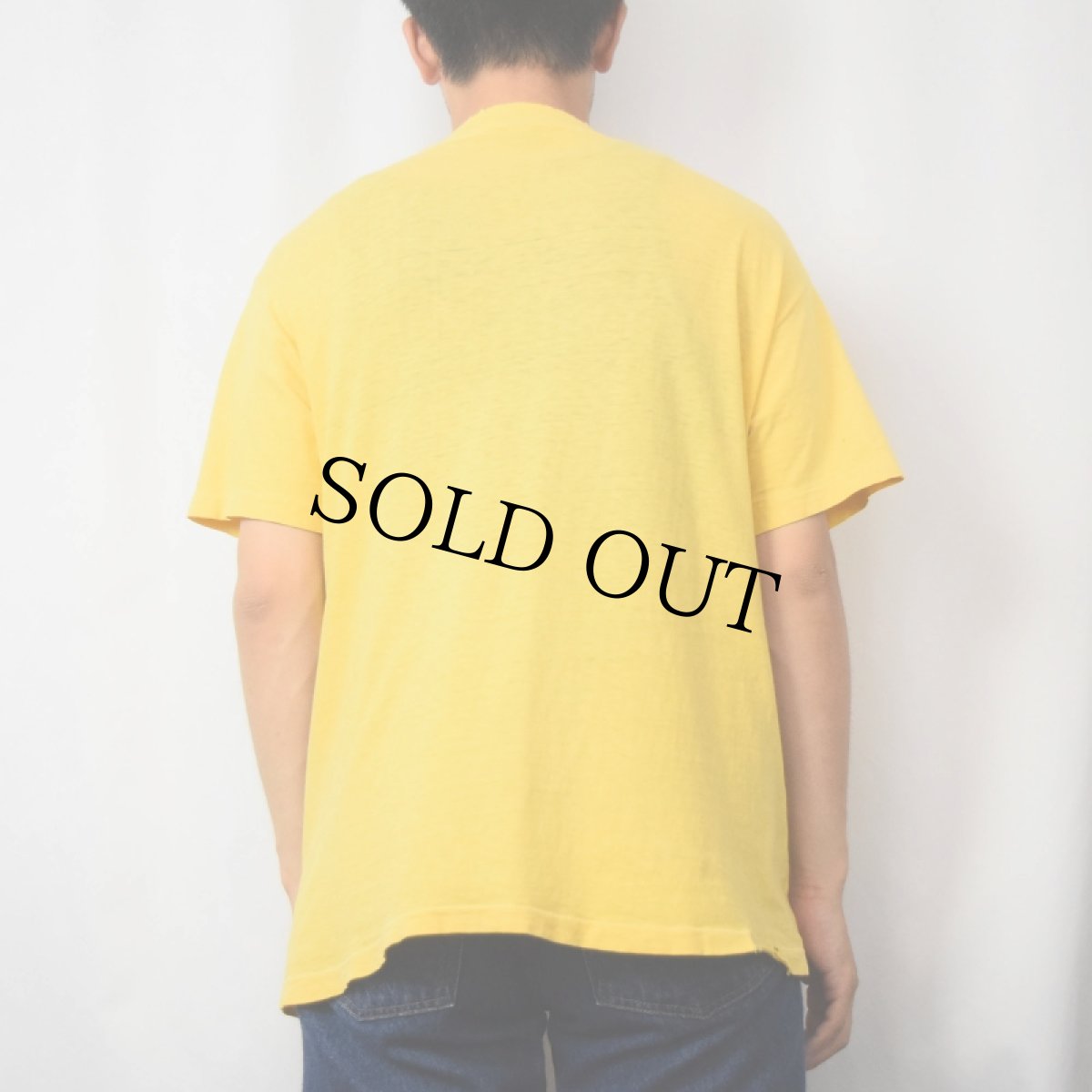 画像3: 70's WINGS OVER AMERICA ロックバンド ライブアルバムTシャツ (3)