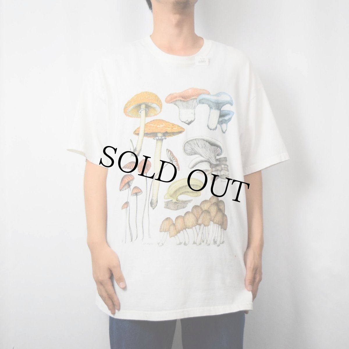 画像2: Poisonous Mushrooms アートプリントTシャツ XL (2)