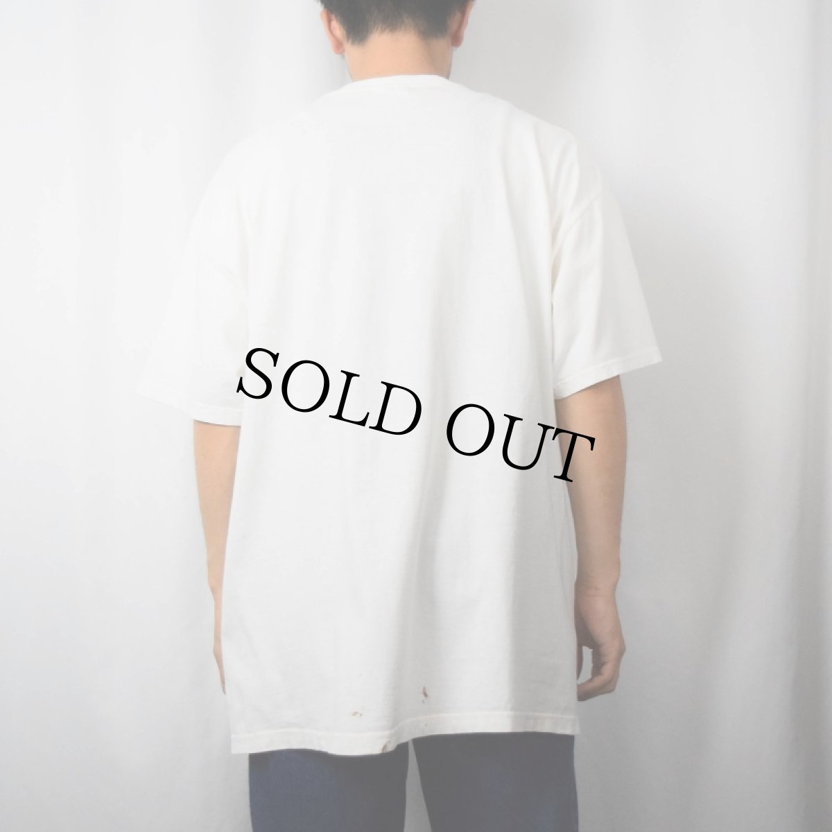 画像3: Poisonous Mushrooms アートプリントTシャツ XL (3)