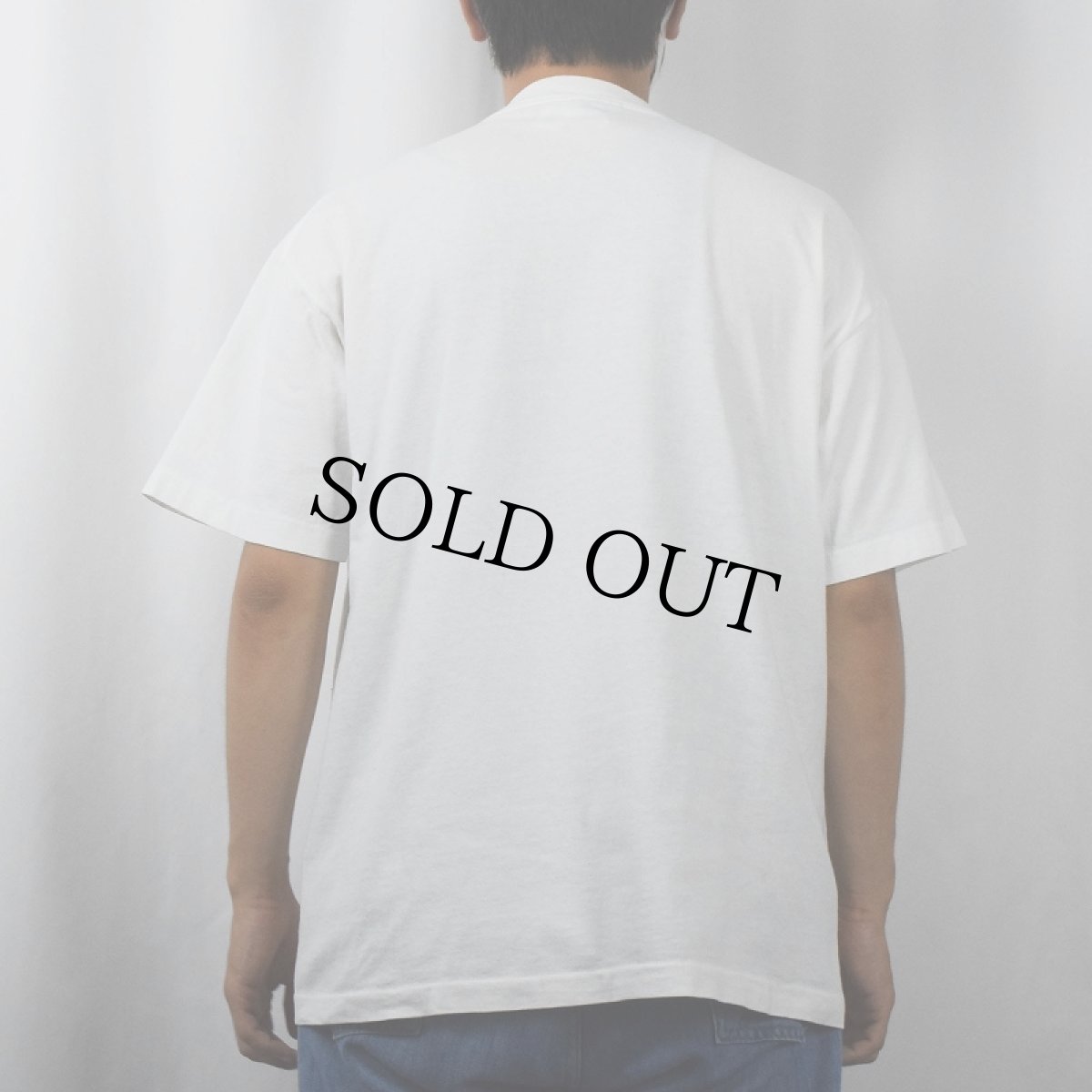 画像3: 90's BIG HED designs "CAPE-COD" アートプリントTシャツ L (3)