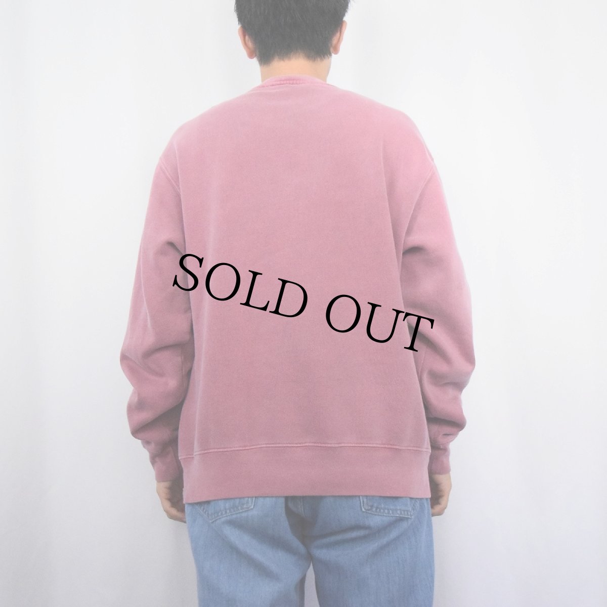 画像3: Eddie Bauer オーバーダイ ヘンリーネックスウェット (3)