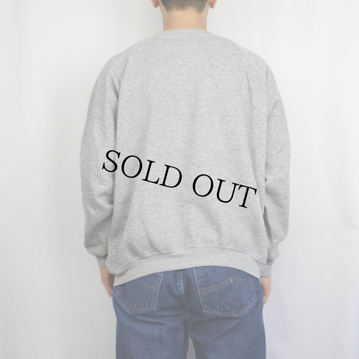 画像3: 70〜80's Healthknit USA製 前V 無地ラグランスウェット (3)