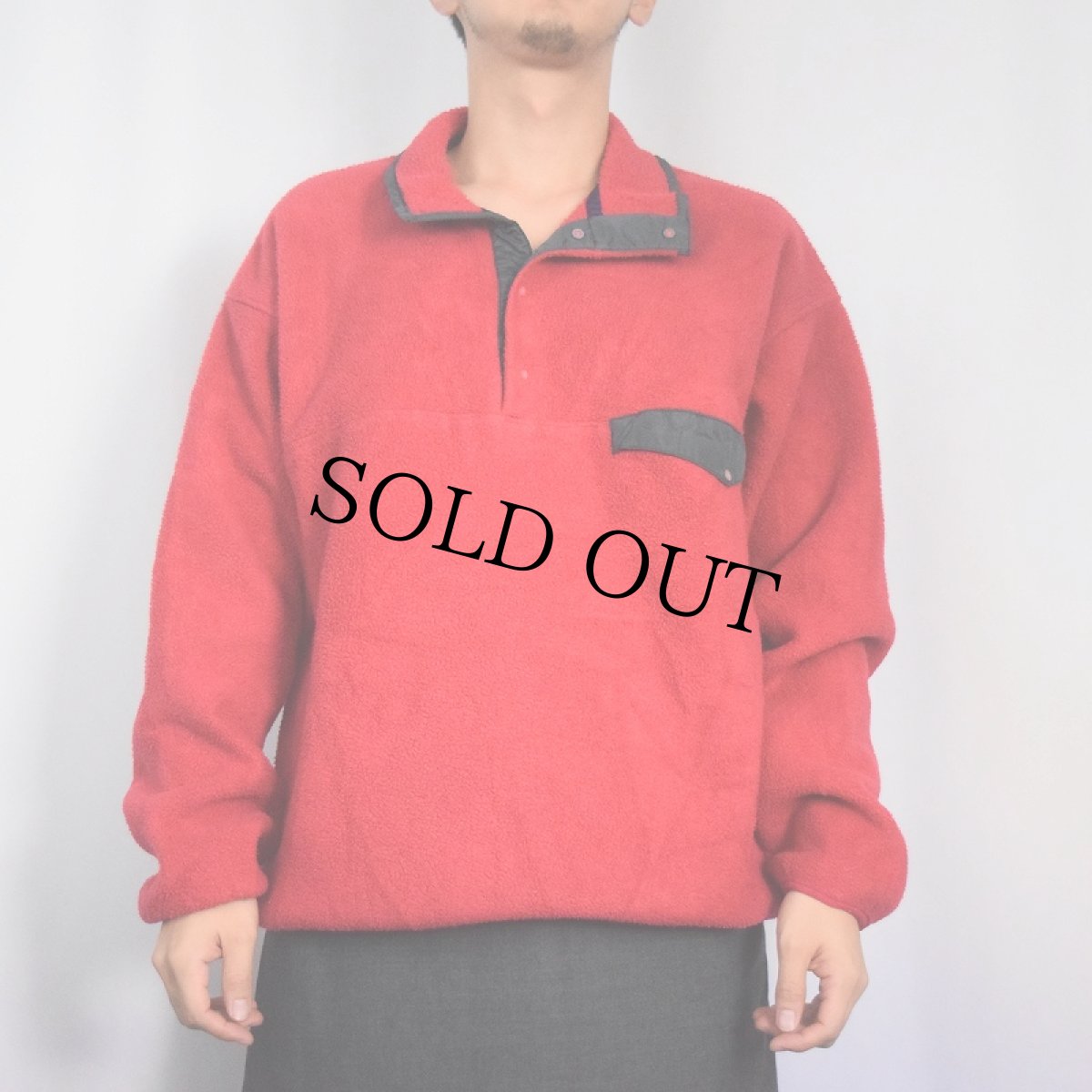 画像2: 90's Patagonia 雪無しタグ スナップT (2)