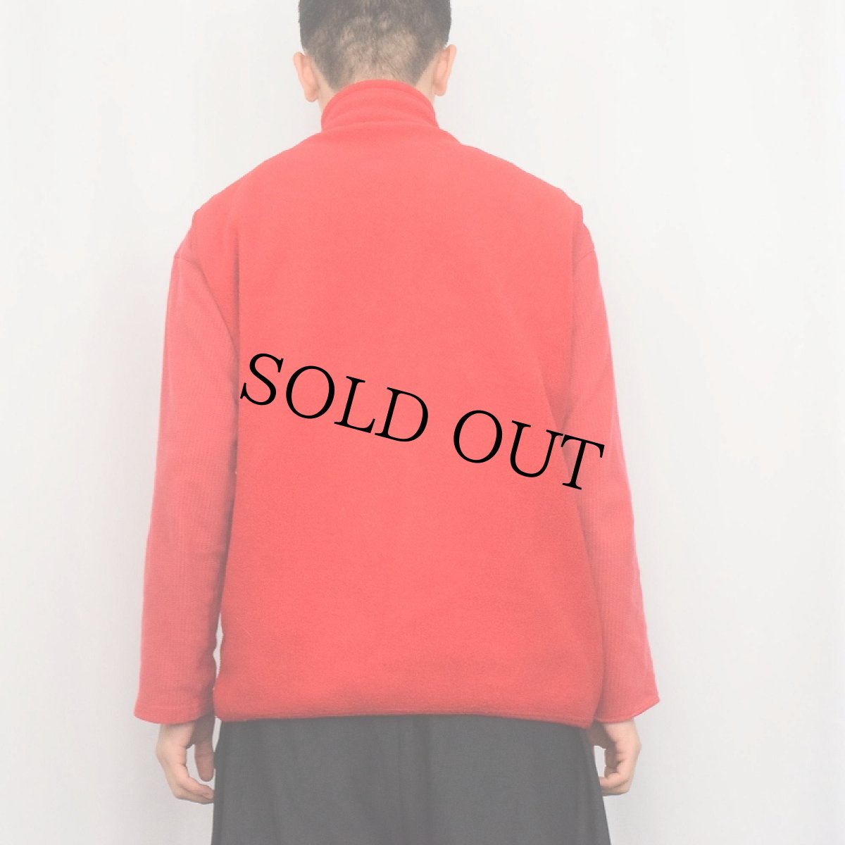 画像3: 90's Patagonia USA製 フリースベスト XL (3)