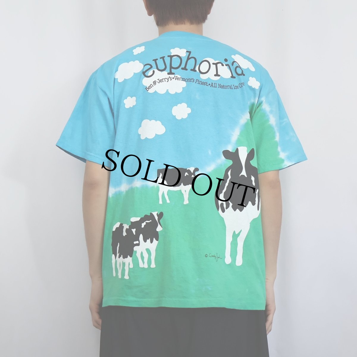 画像4: 2000's BEN&JERRY'S 食品メーカー 大判プリントTシャツ M (4)
