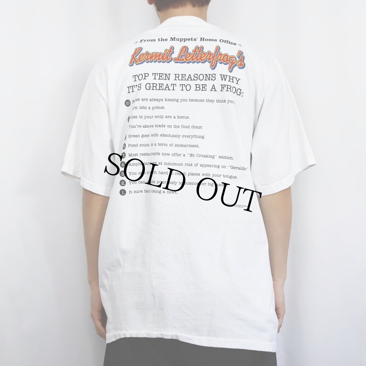 画像4: 90's Kermit USA製 "TOO LATE with Kermit Letterfrog" テレビ番組パロディプリントTシャツ XL (4)