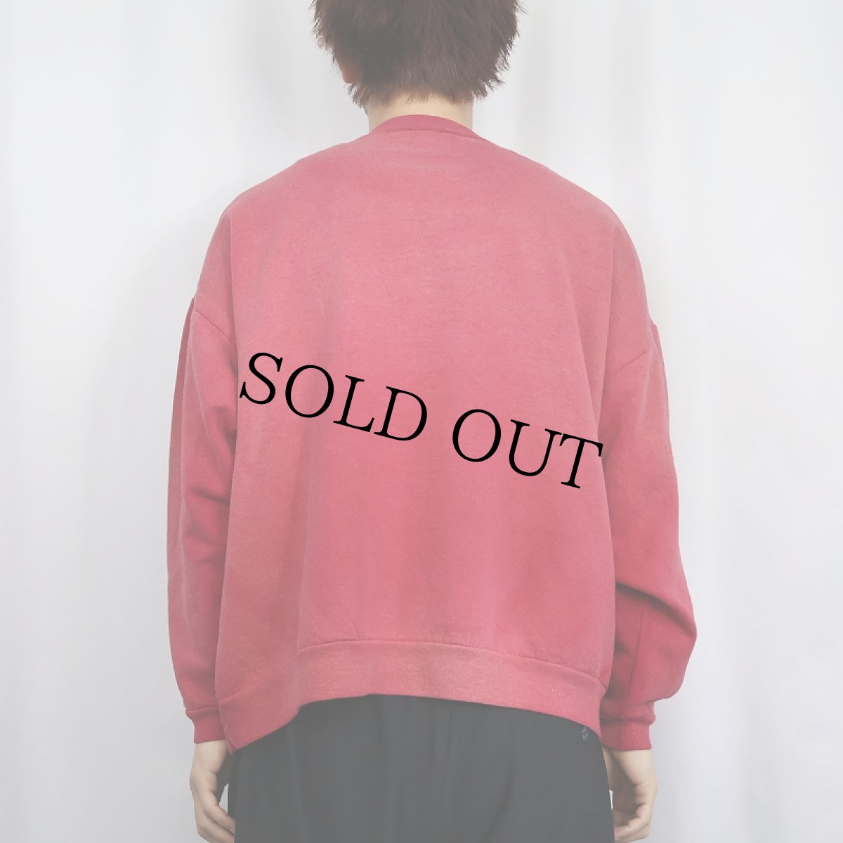 画像3: Champion 前V ロゴ刺繍 フェードスウェット (3)