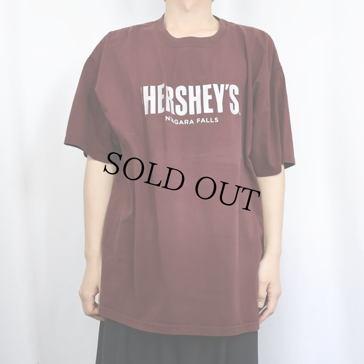 画像2: HERSHEY'S お菓子企業 ロゴプリントTシャツ 2X (2)