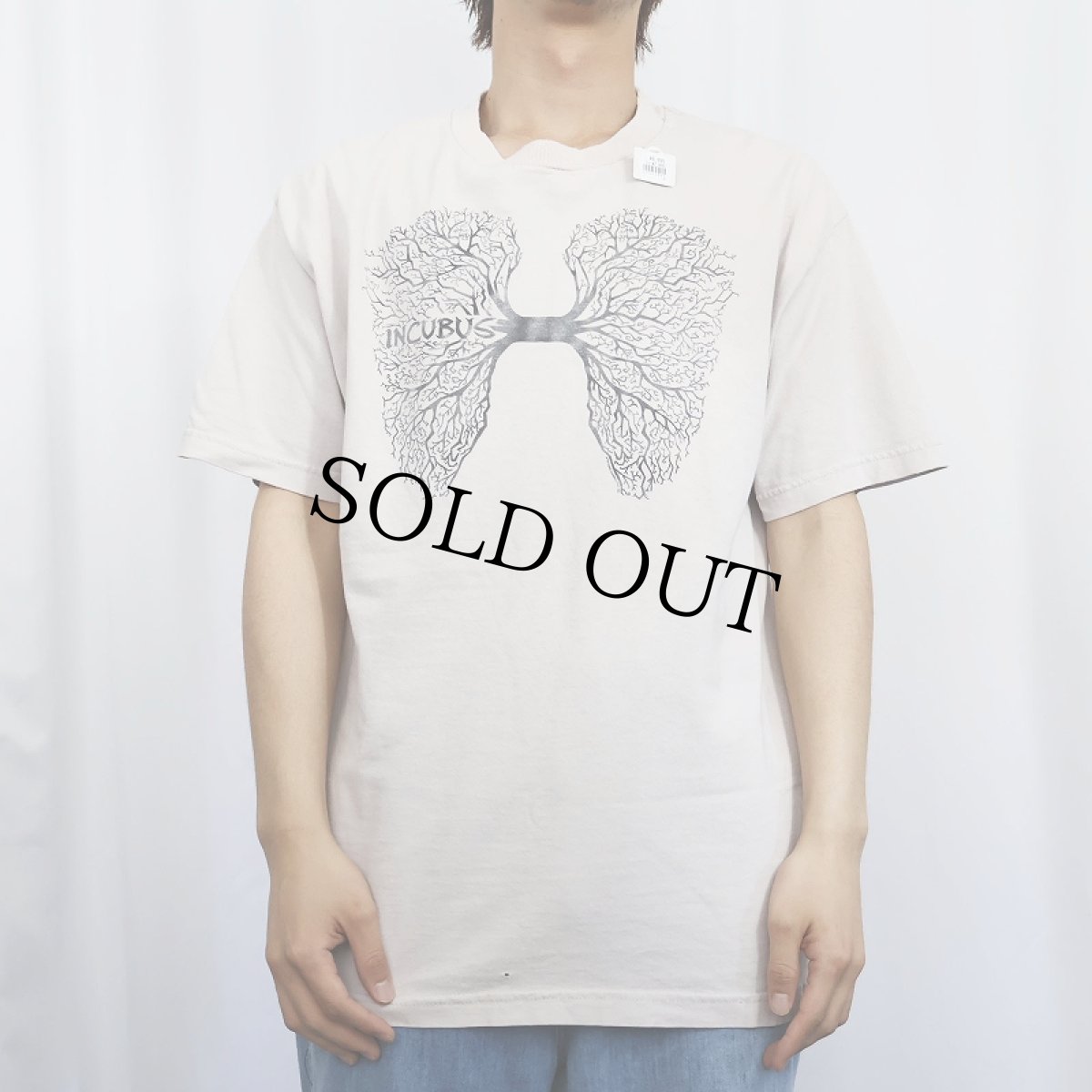 画像2: 2000's INCUBUS ロックバンドTシャツ L (2)