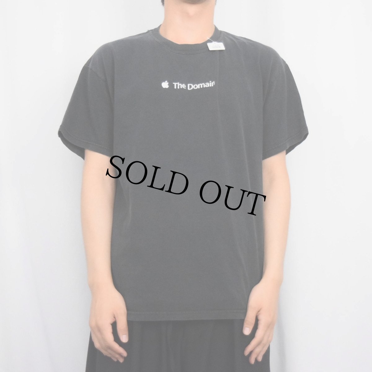 画像2: Apple "The Domain" プリントTシャツ BLACK L (2)
