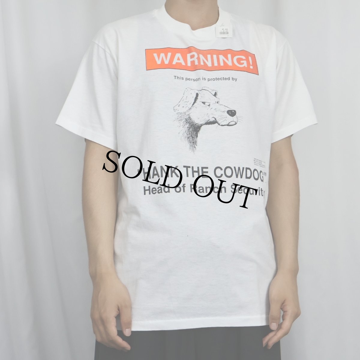 画像2: 90's John R. Erickson USA製 "HANK THE COWDOG" 児童小説プリントTシャツ L (2)