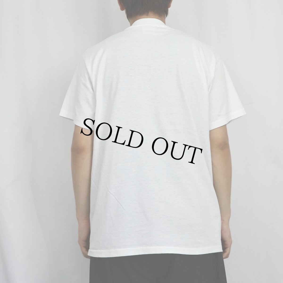 画像3: 90's John R. Erickson USA製 "HANK THE COWDOG" 児童小説プリントTシャツ L (3)