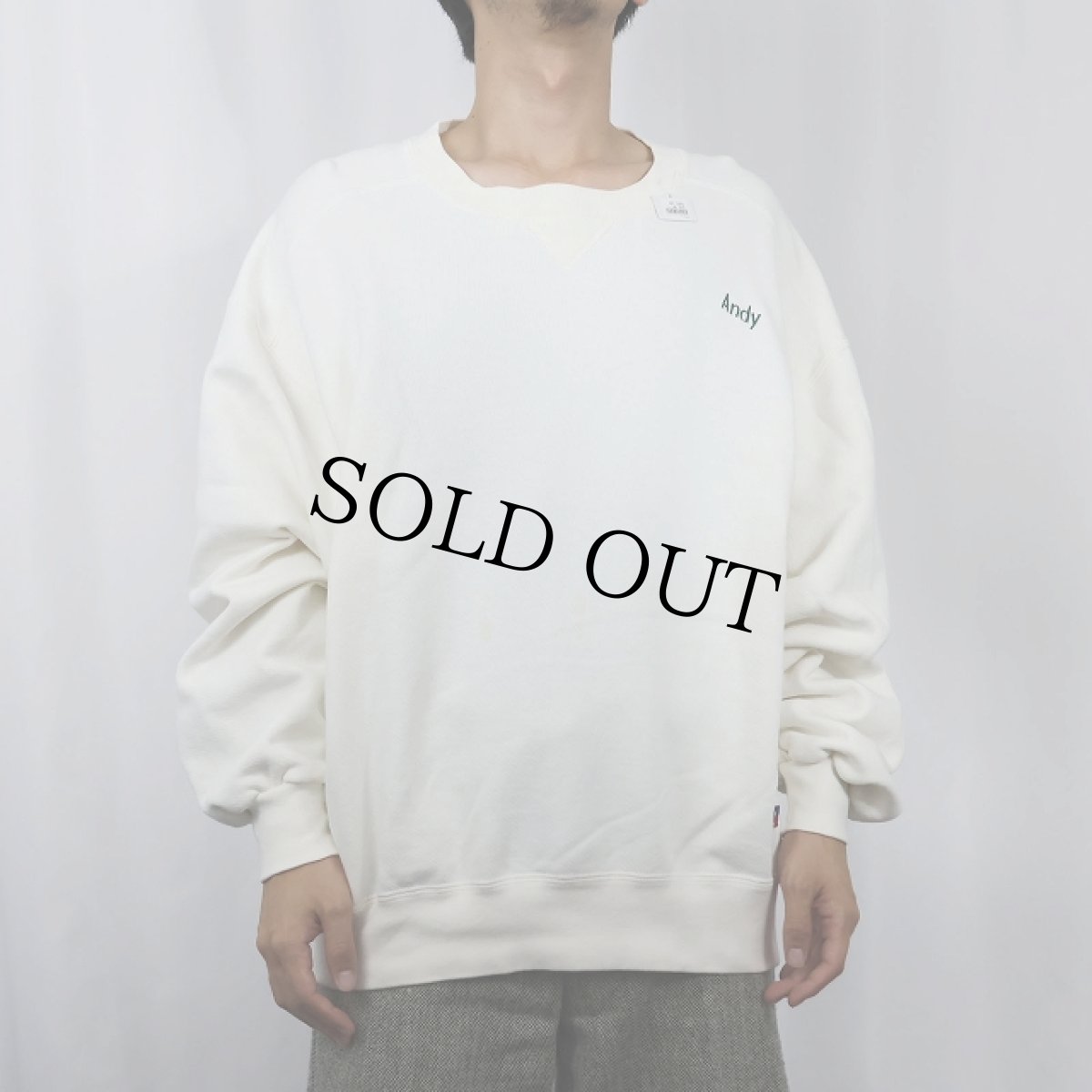 画像2: 90's L.L.Bean by RUSSELL ATHLETIC USA製 "ANDY" 前V 刺繍スウェット L (2)