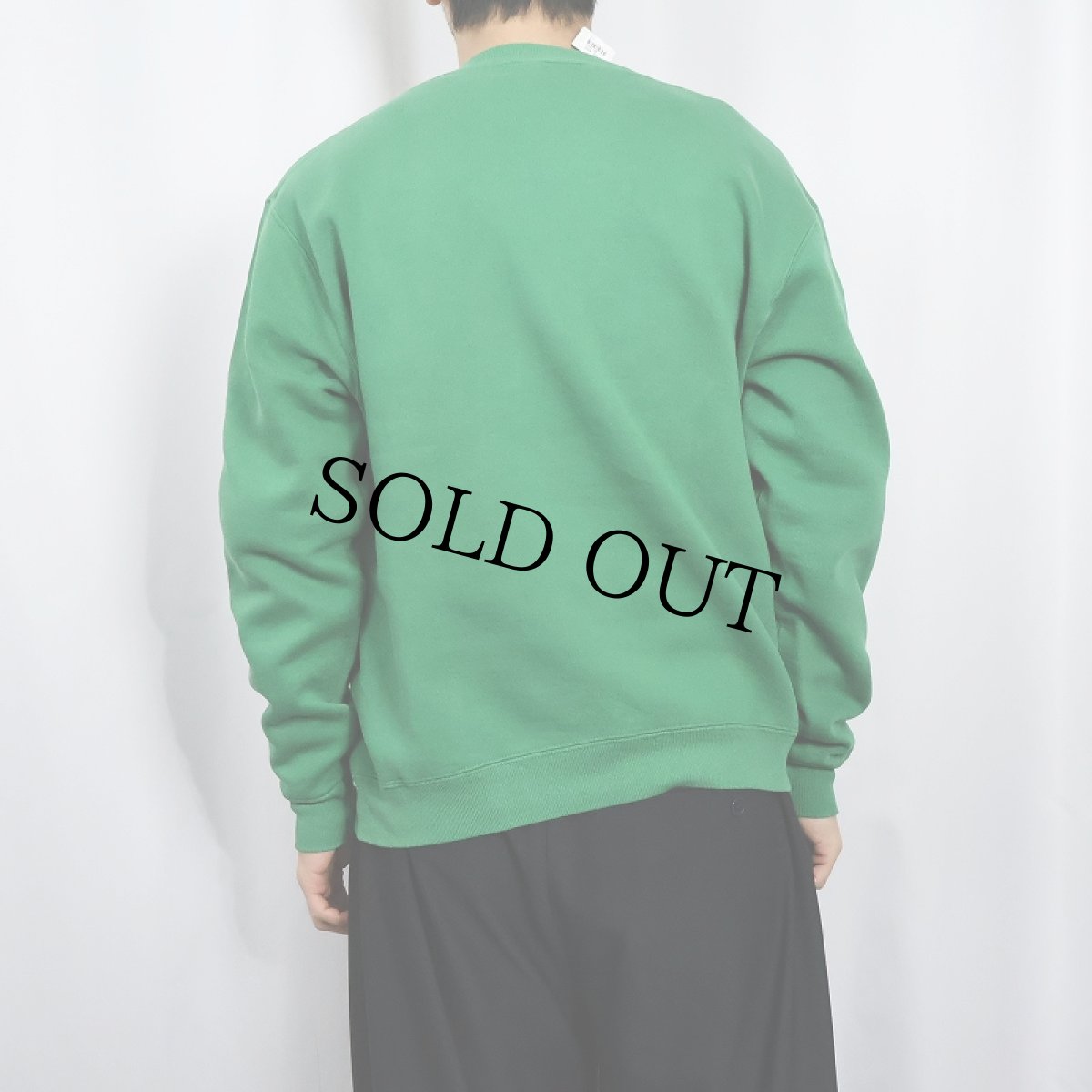 画像3: 80's RUSSELL ATHLETIC USA製 "St. AMBROSE UNIVERSITY" 前V プリントスウェット L (3)