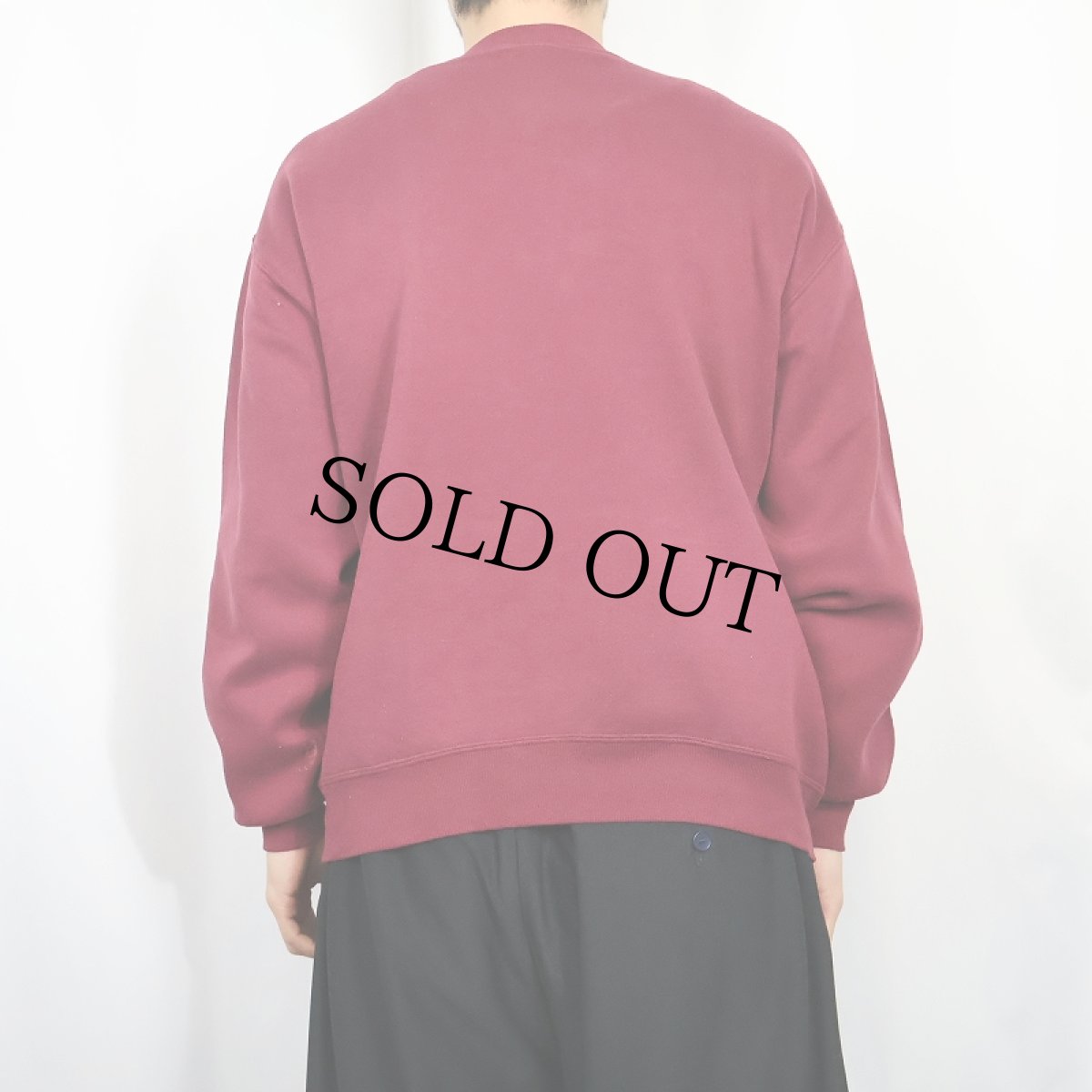 画像3: 90's〜 RUSSELL ATHLETIC USA製 "MISSISSIPPI STATE" 前V プリントスウェット L (3)