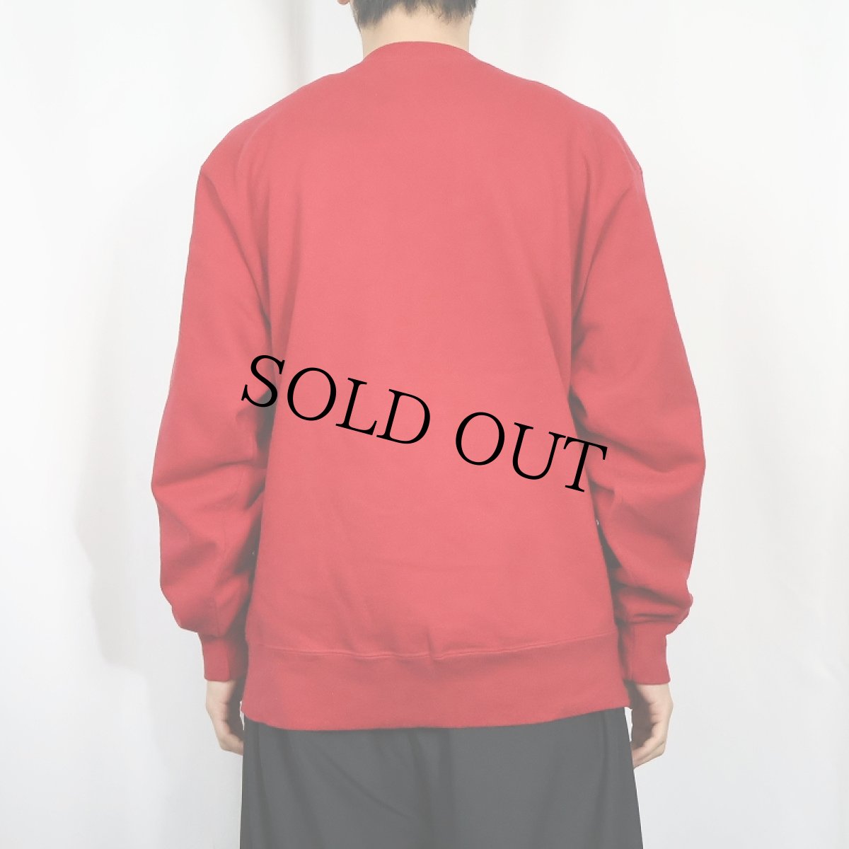 画像3: 80〜90's Champion USA製 青刺繍タグ 後期 前Vスウェット L (3)