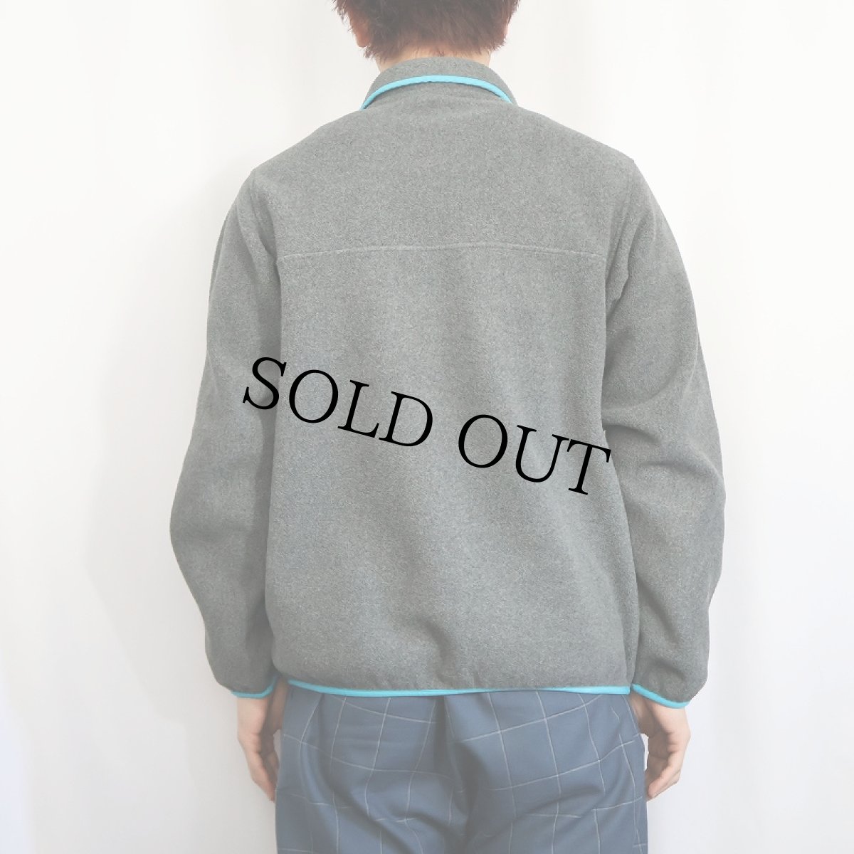 画像3: 2016AW patagonia スナップT M (3)