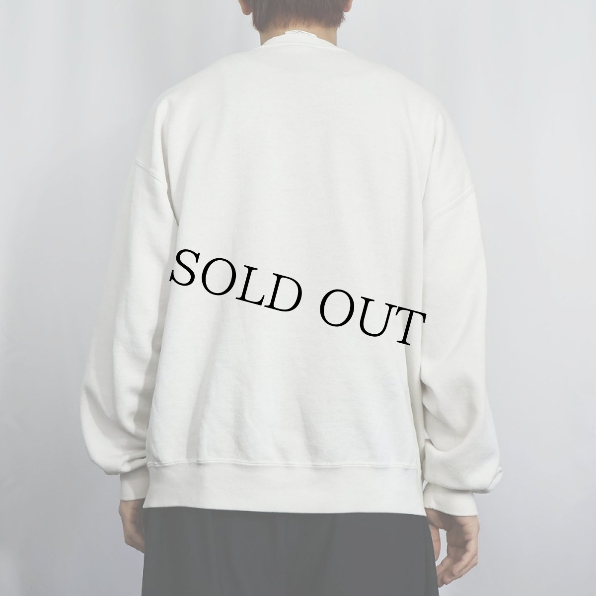 画像3: 90's Dr.Seuss THE CAT IN THE HAT キャラクタープリントスウェット (3)