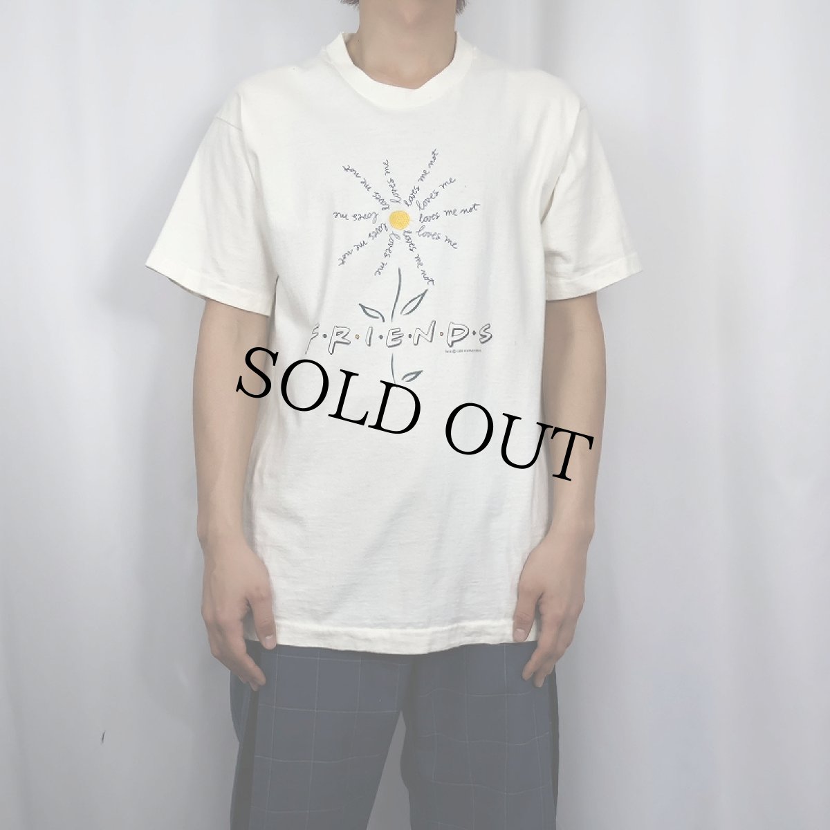 画像2: 90's F・R・I・E・N・D・S USA製 ロゴ刺繍 テレビドラマプリントTシャツ L (2)