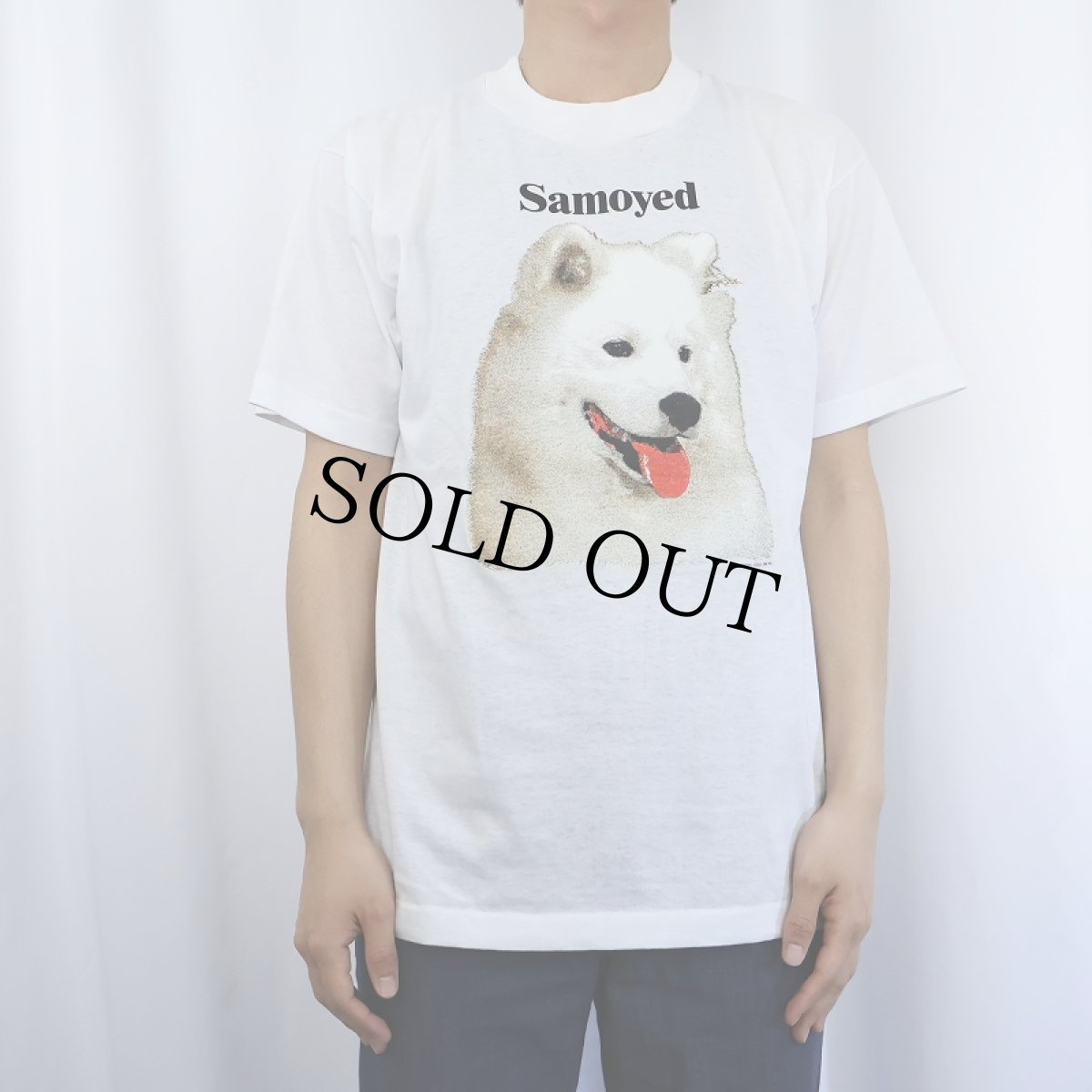 画像2: 90's USA製 "Samoyed" 犬プリントTシャツ L (2)