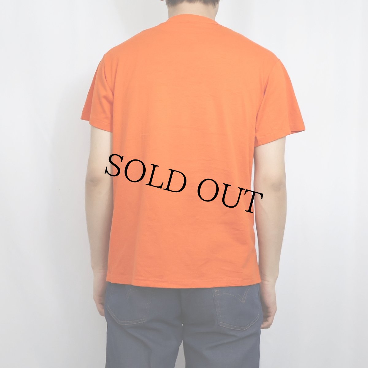 画像3: 80's RUSSELL ATHLETIC USA製 "CLEMSON" プリントTシャツ M (3)