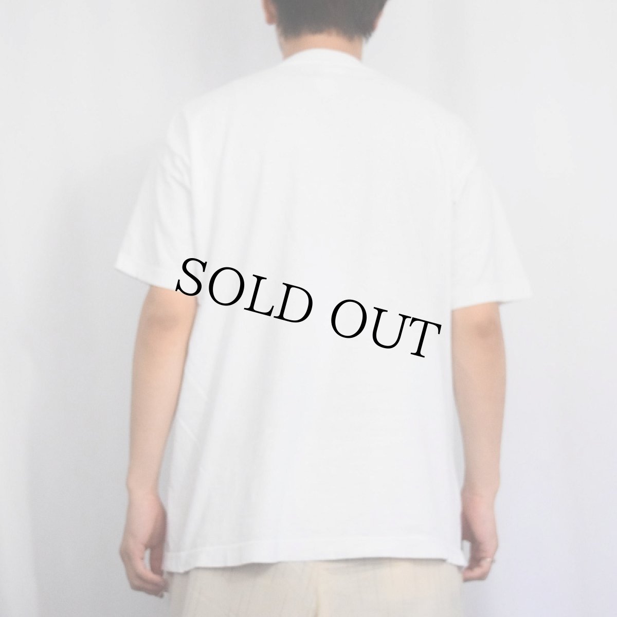 画像3: 90's USA製 "NATURE CAN'T BE RESTOCKED" シマウマプリントTシャツ L (3)