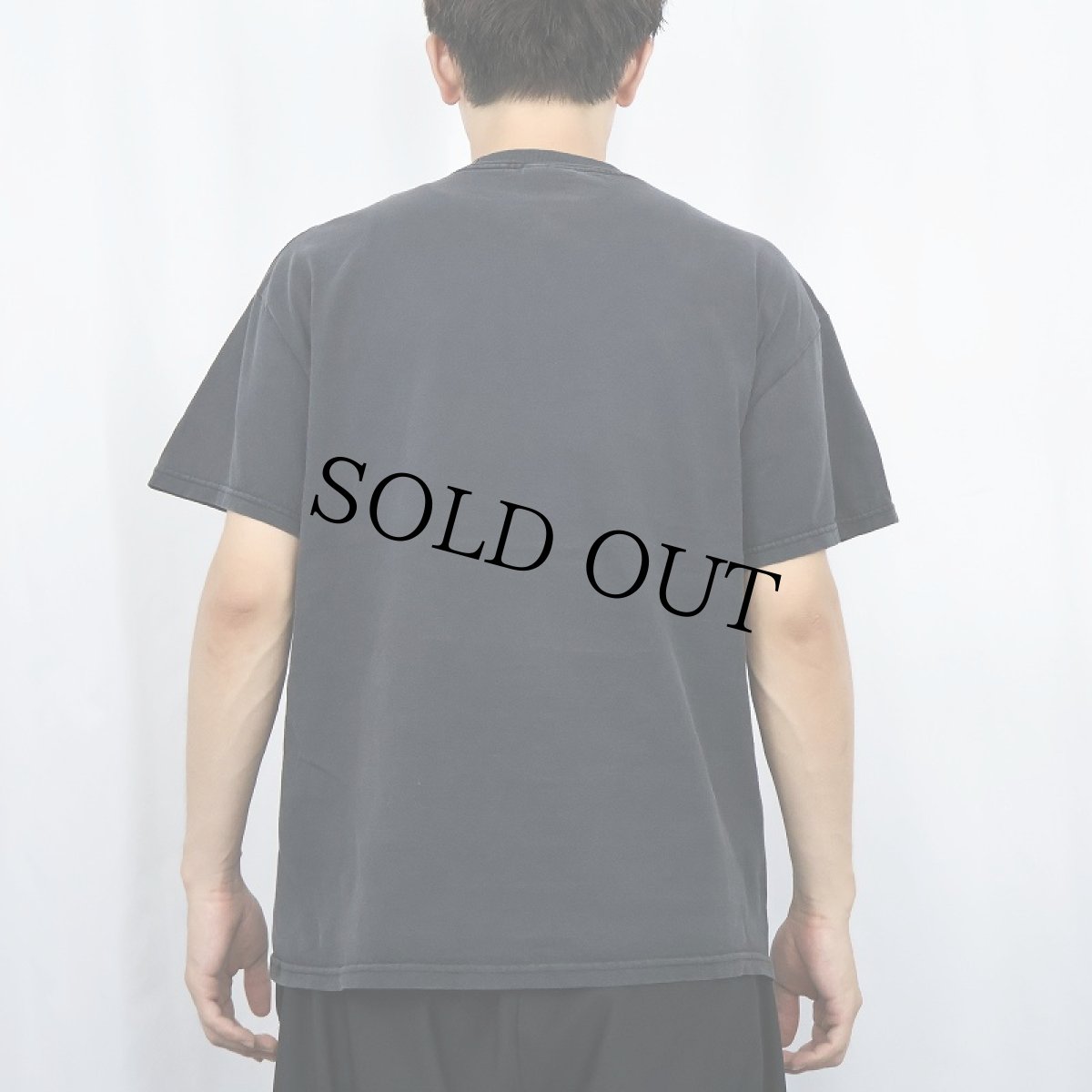 画像3: 2000's INCUBUS "a crow left of the murder..." ロックバンドTシャツ BLACK L (3)