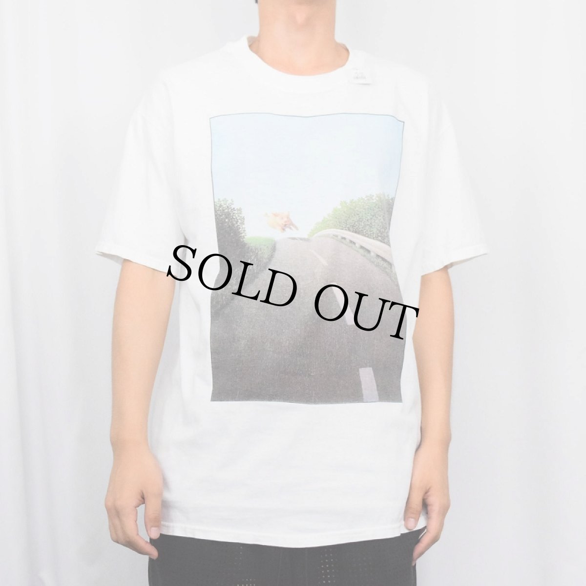 画像2: 90〜2000's "PIG" イラストプリントTシャツ L (2)