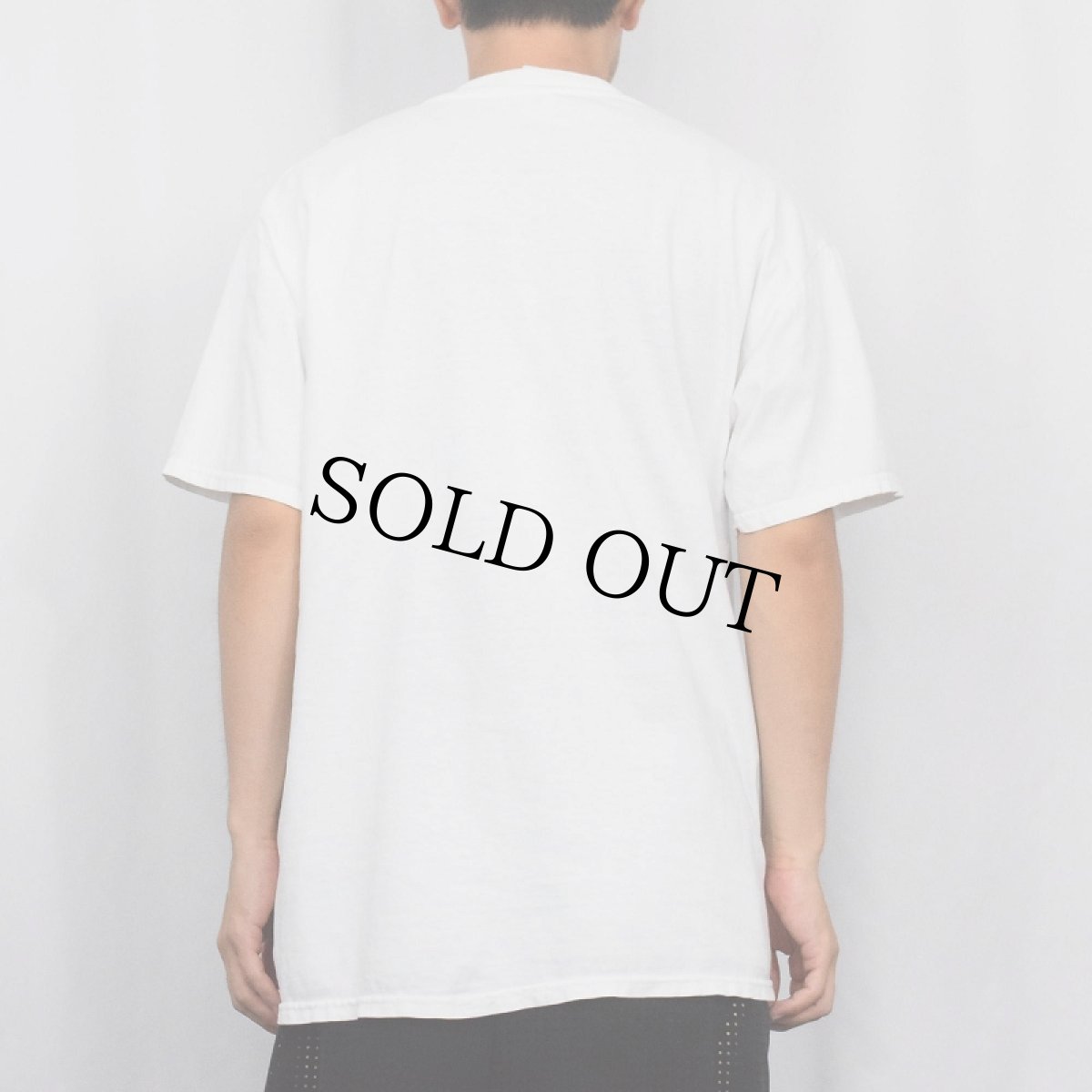 画像3: 90〜2000's "PIG" イラストプリントTシャツ L (3)